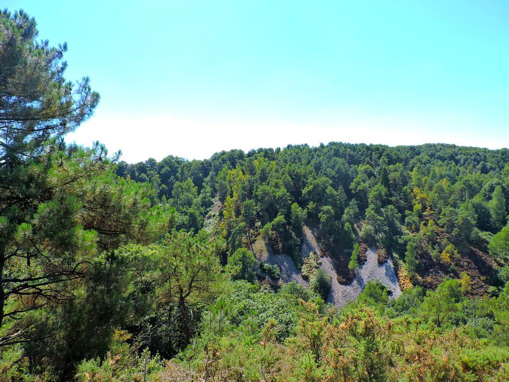 Gite Dans Les Alpes Mancelles Gesnes-le-Gandelin Екстериор снимка